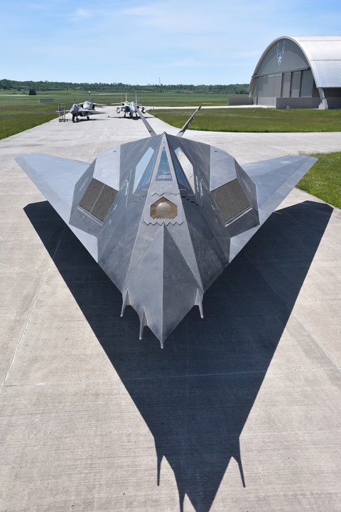 F-117A Night Hawk Bomber (D)